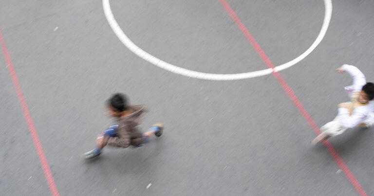Accident scolaire école Avocat Del Vecchio Daniel à Lyon