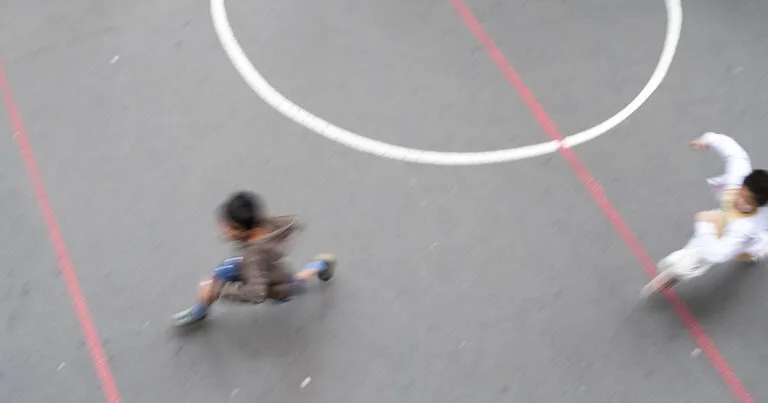 Accident scolaire école Avocat Del Vecchio Daniel à Lyon